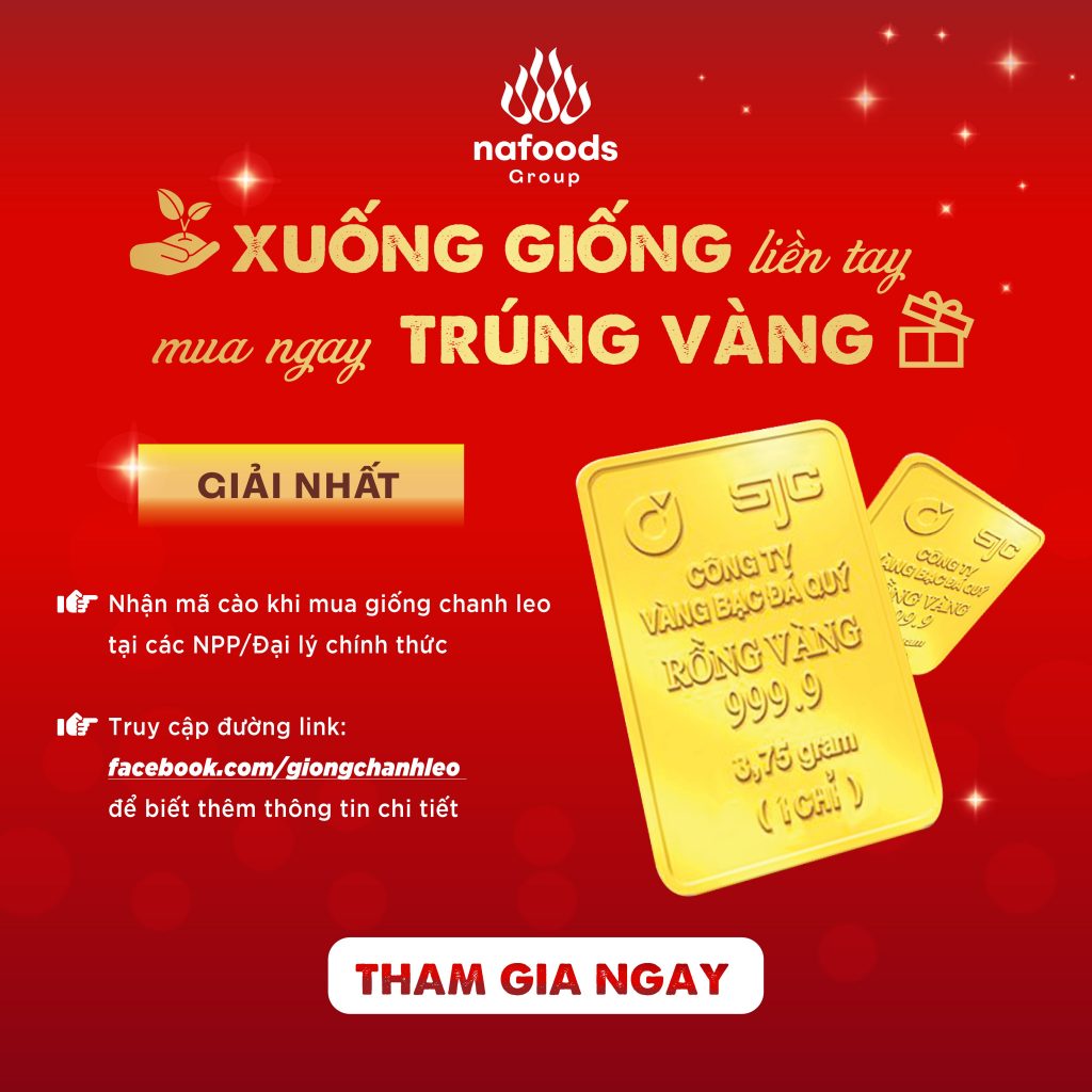 Xuống Giống Trúng Vàng - Nafoods Khuyến Nông
