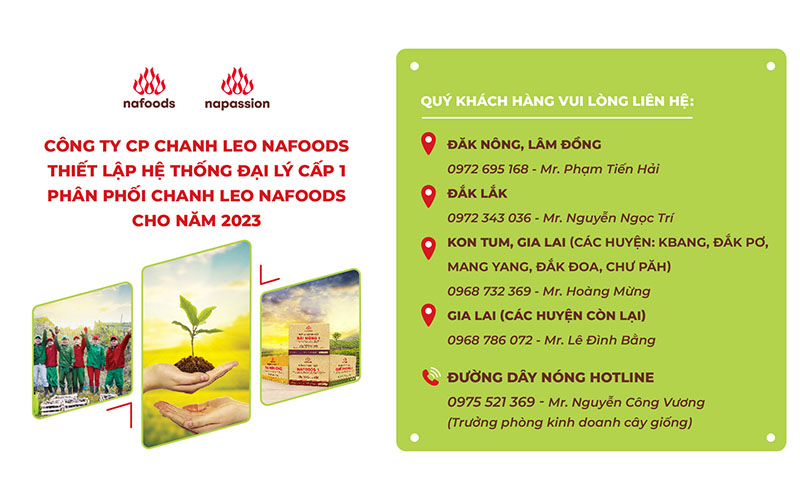 Nafoods mở rộng hệ thống đại lý cấp 1 cung cấp cây giống chanh leo năm 2023