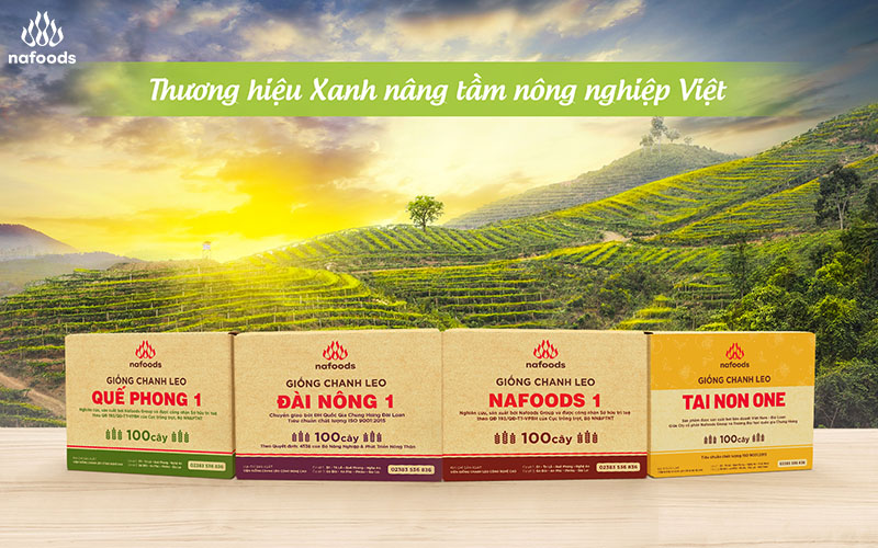 Nafoods mở rộng hệ thống đại lý cấp 1 cung cấp cây giống chanh leo năm 2023