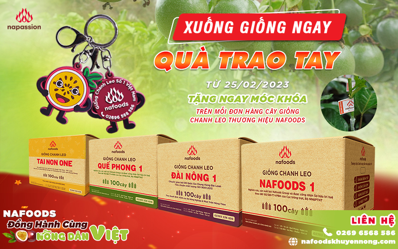 xuong giong ngay qua trao tay