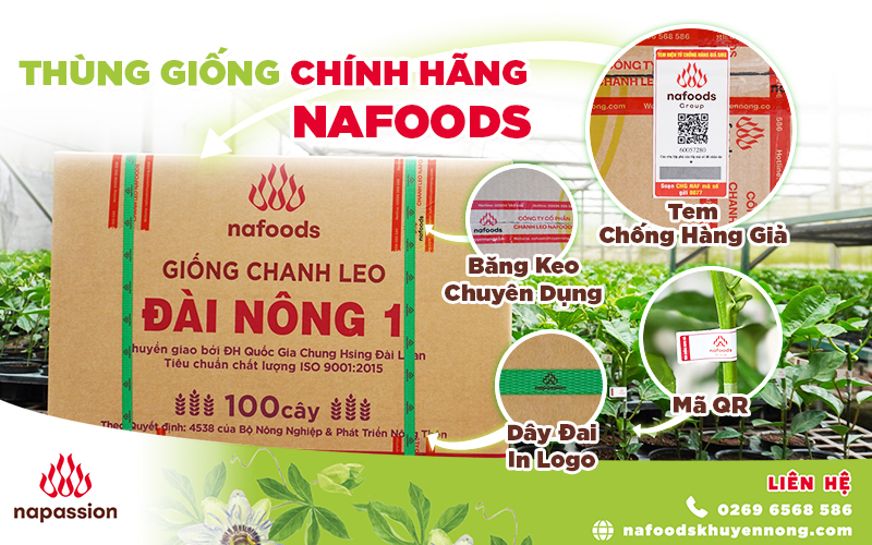 nhan biet thùng giong chinh hang nafoods