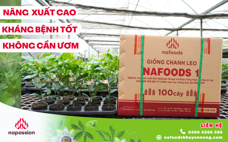 nafoods ngung hop tac san xuat giong gia cong