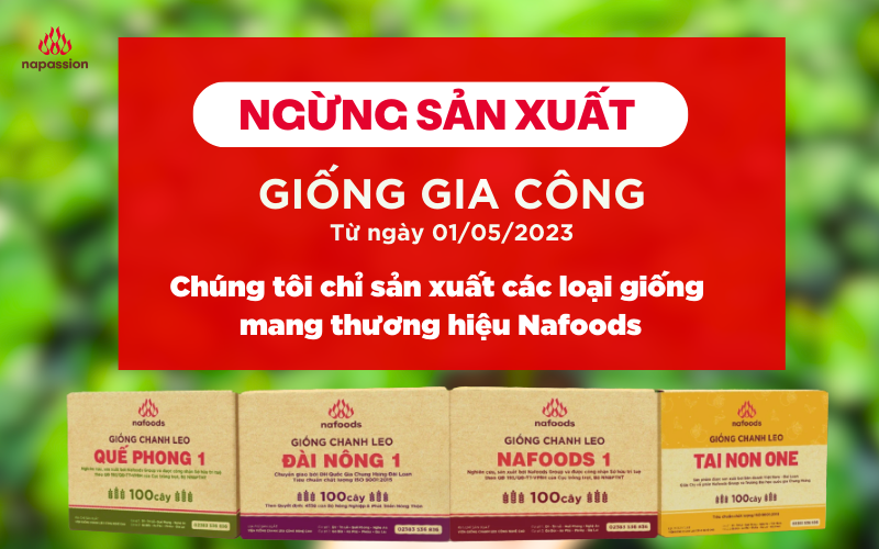 Nafoods ngung san xuat giong gia cong