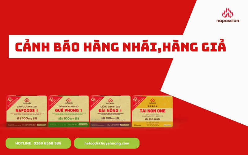 hang gia hang nhai thung giong nafoods