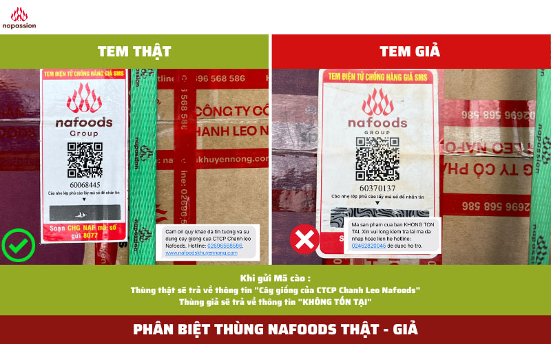 hang gia hang nhai thung giong nafoods