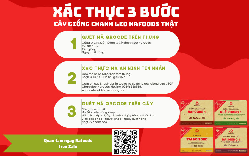 hang gia hang nhai thung giong nafoods