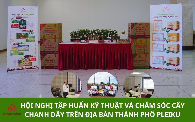 tap huan ky thuat cham soc cay chanh day