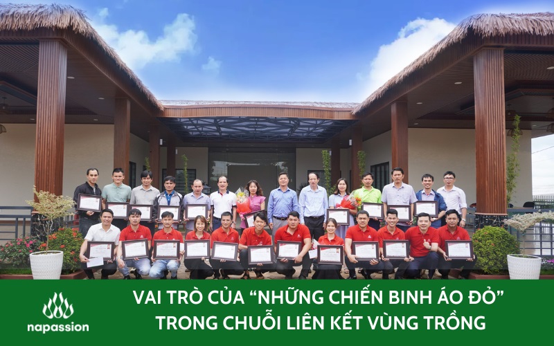 vai trò của những chiến binh áo đỏ - kỹ thuật viên nafoods trong chuỗi liên kết vùng trồng