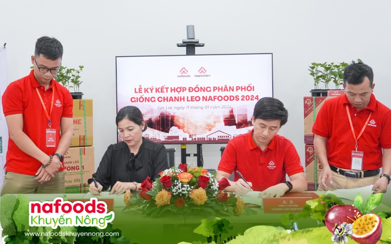 lễ ký kết hợp đồng phân phối giống chanh leo nafoods 2024