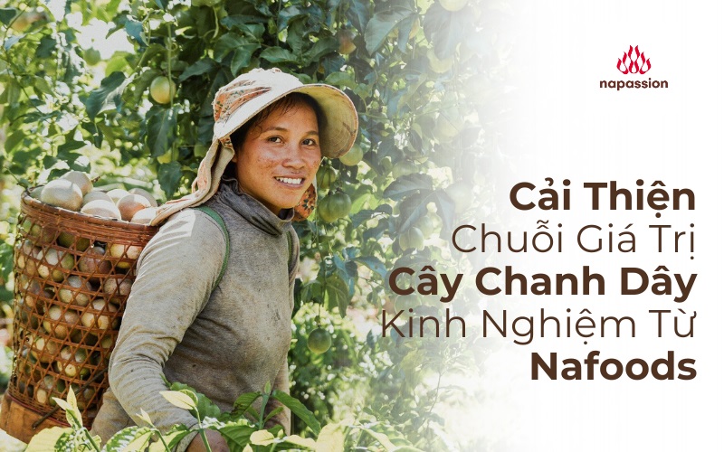 Cải thiện chuỗi giá trị cây chanh dây kinh nghiệm từ nafoods