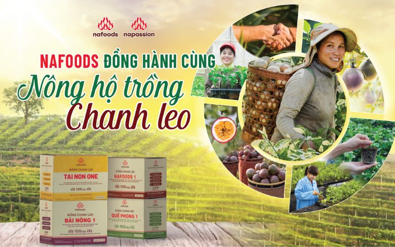chương trình nafoods đồng hành cùng nông hộ chanh leo