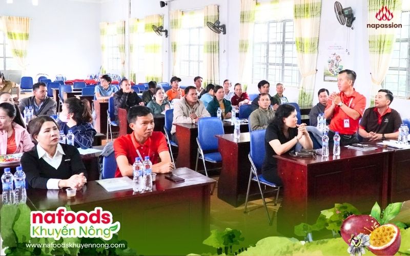 Dự án Nafoods đồng hành cùng nông hộ trồng chanh leo tại ia grai gia lai