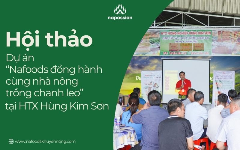 Hội thảo dự án nafoods đồng hành cùng nông hộ trồng chanh leo htx hùng kim sơn