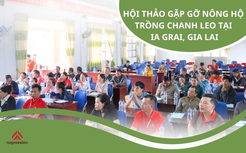 hội thảo gặp gỡ nông hộ trồng chanh leo tại Ia Grai Gia Lai