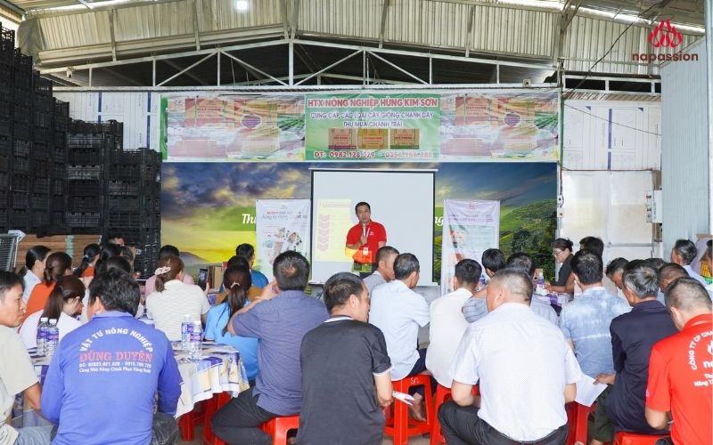 Hội thảo Nafoods đồng hành cùng HTX Hùng Kim Sơn