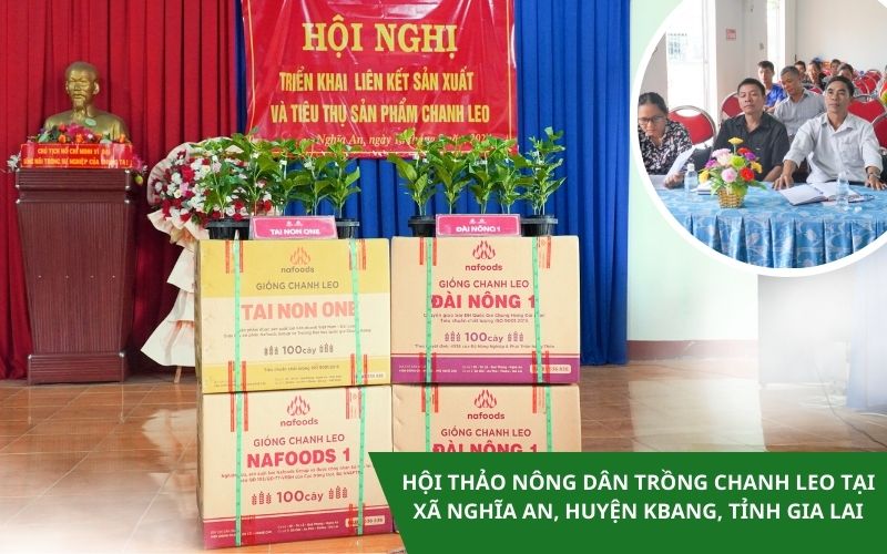 hội thảo nông dân trồng chanh leo tại xã an nghĩa huyejn kbang tỉnh gia lai