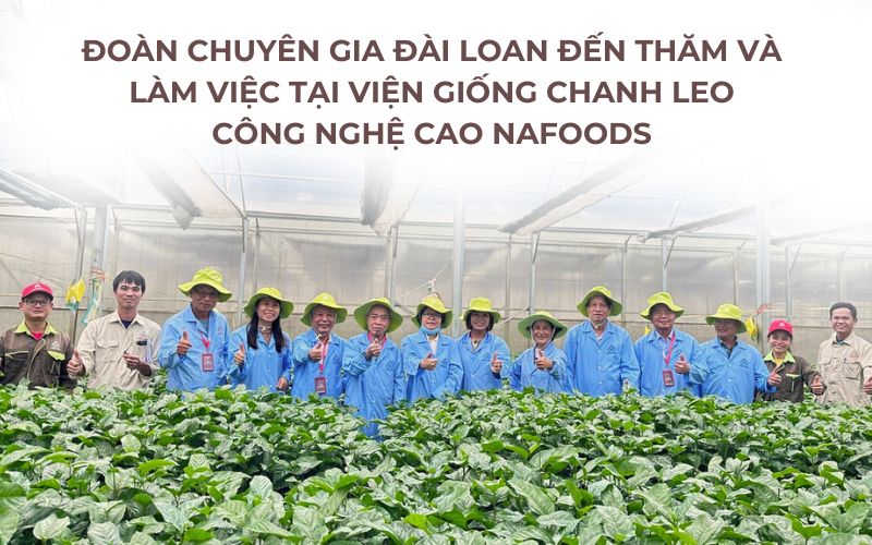 Đoàn chuyên gia Đài Loan đến thăm và làm việc tại viện giống Nafoods