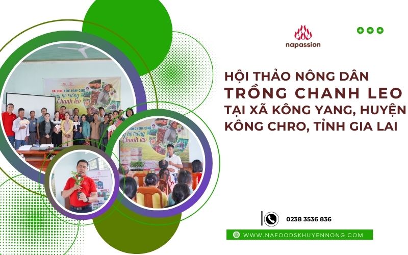 Hội thảo nông dân trồng chanh leo tại xã Kong Yang, Huyện Kong Chro, Gia Lai