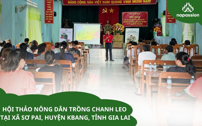 Hội thảo nông dân trồng chanh leo tại xã sơ pai tỉnh gia lai