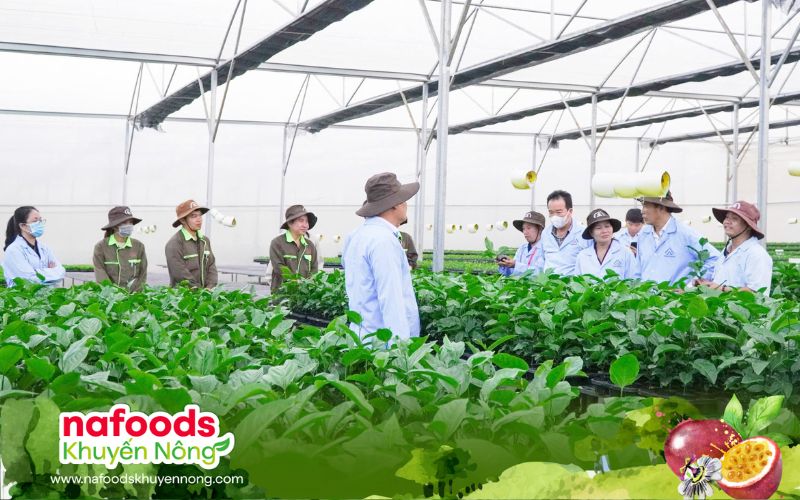 thứ trưởng làm việc tại viện giống chanh leo nafoods