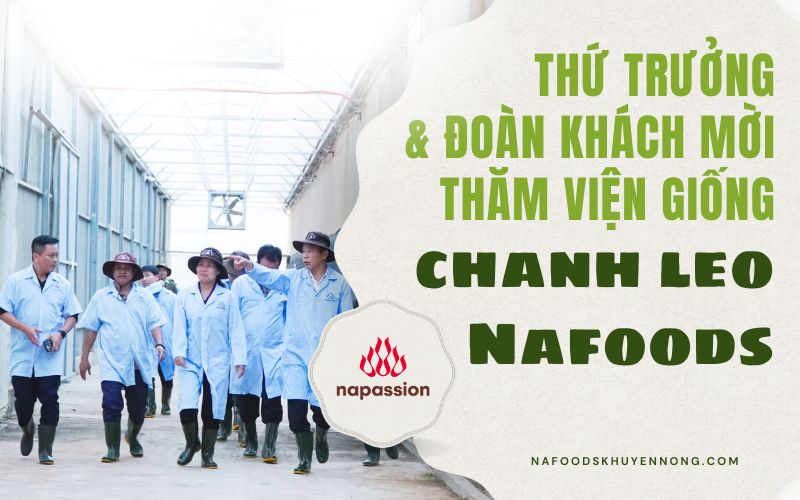 Thứ trưởng và đoàn khách mời đến thăm viện giống chanh leo Nafoods