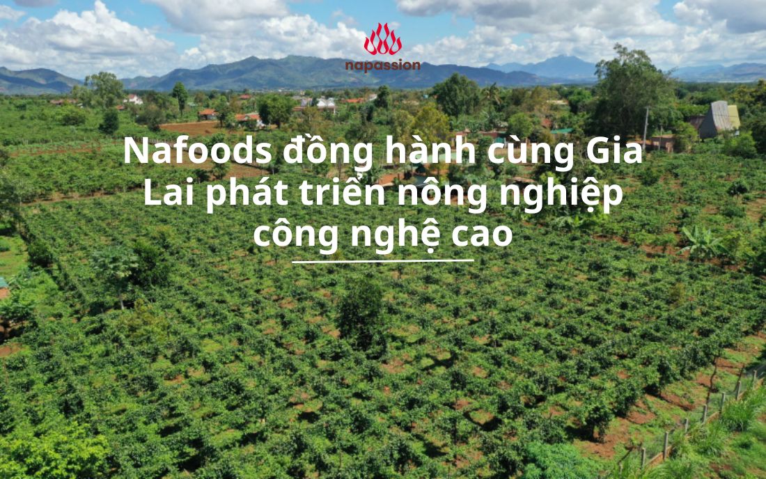 nafoods đồng hành cùng gia lai phát triển nông nghiệp công nghệ cao