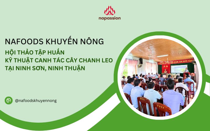hội thảo tập huấn canh tác chanh leo công nghệ cao công ty minh phát