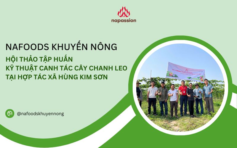 Hội thảo tập huấn kỹ thuật canh tác chanh leo công nghệ cao tại htx hùng kim sơn