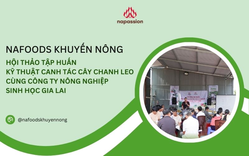 hội thảo tập huấn canh tác chanh leo xuất khẩu công ty nông nghiệp sinh học gia lai