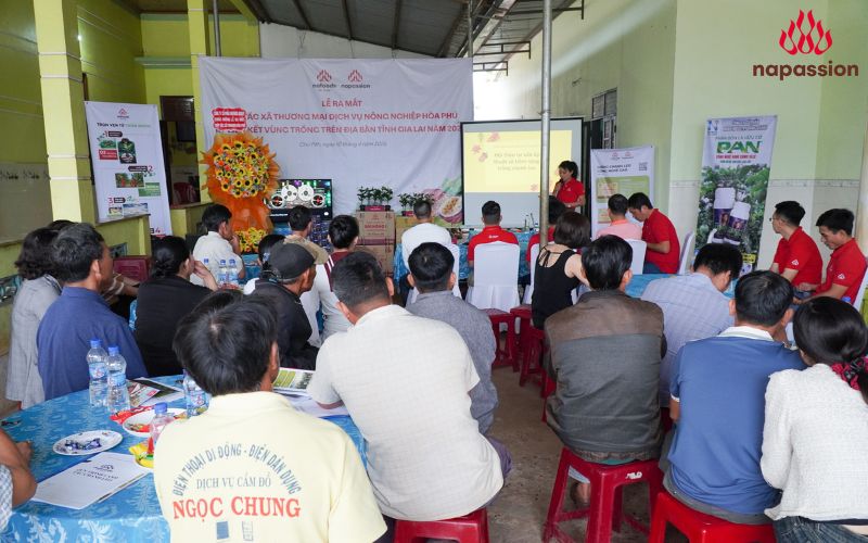 lễ ra mắt hợp tác xã hòa phú