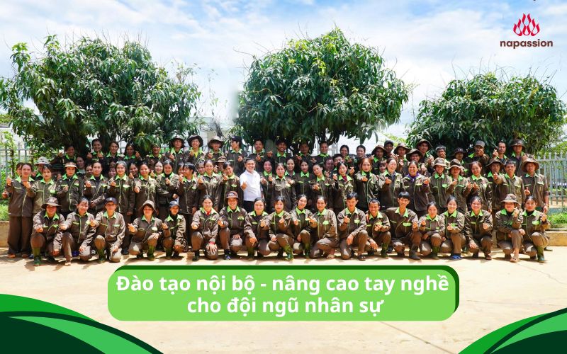 đào tạo nội bộ nâng cao tay nghề nhân sự napassion 2025