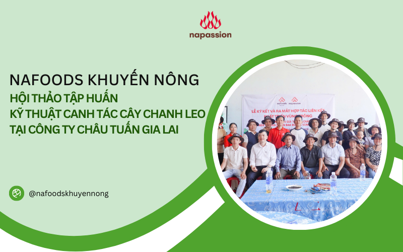 hội thảo tập huấn kỹ thuật canh tác cây chanh leo công ty châu tuấn gia lai