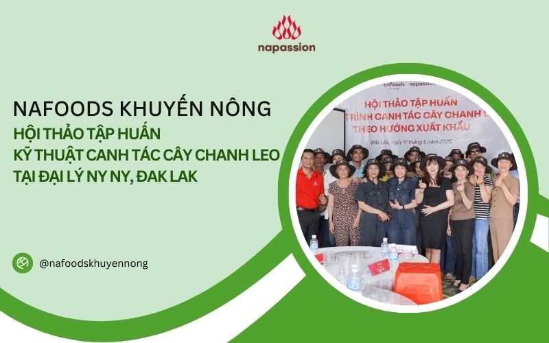 Hội thảo tập huấn quy trình canh tác chanh leo xuất khẩu đại lý ny ny huyện Ea H'leo