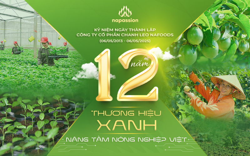 kỷ niệm 12 năm thành lập napassion