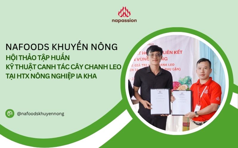 hội thảo canh tác cây chanh leo tại htx ia kha