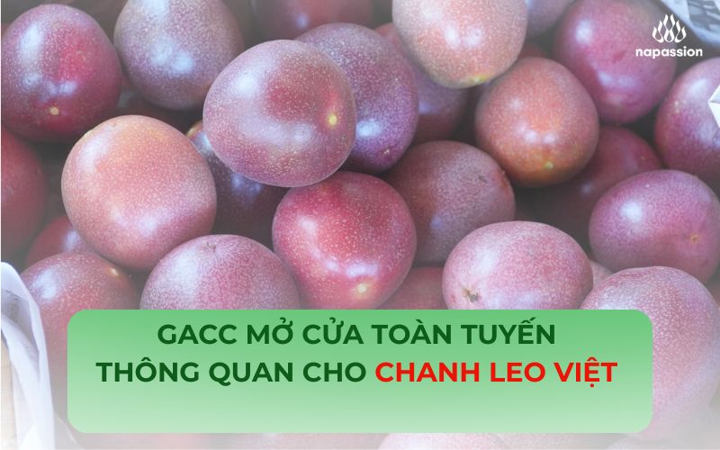 gacc mở cửa toàn tuyến thông quan chanh leo việt