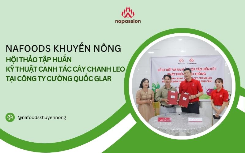 hội thảo tập huấn kỹ thuật canh tác cây chanh leo cường quốc glar