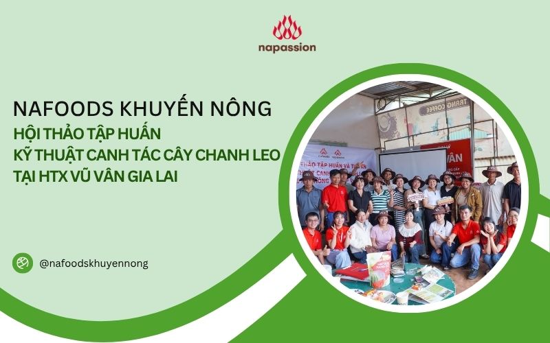 Hội thảo tập huấn kỹ thuật canh tác cây chanh leo tại htx vũ vân gia lai