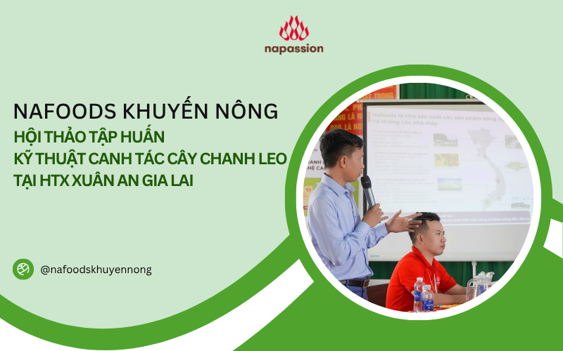 hội thảo tập huấn kỹ thuật canh tác cây chanh leo htx xuân an gia lai