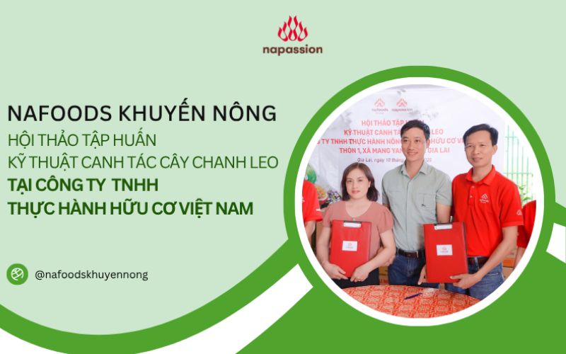 Hội thảo tập huấn kỹ thuật cây chanh leo công ty TNHH Thực hành hữu cơ việt nam