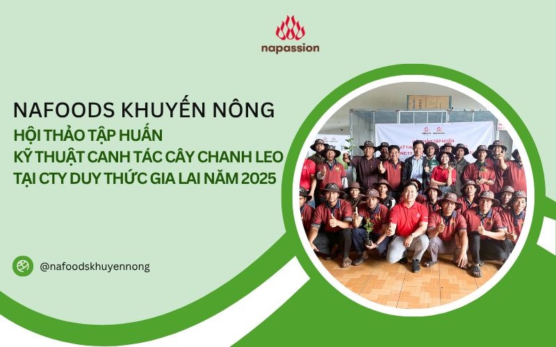 Hội thảo tập huấn kỹ thuật canh tác cây chanh leo công ty duy thức gia lai