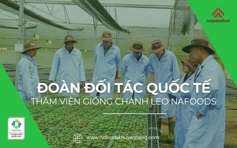 Nafoods tiếp đón đoàn đối tác quốc tế tại viện giống