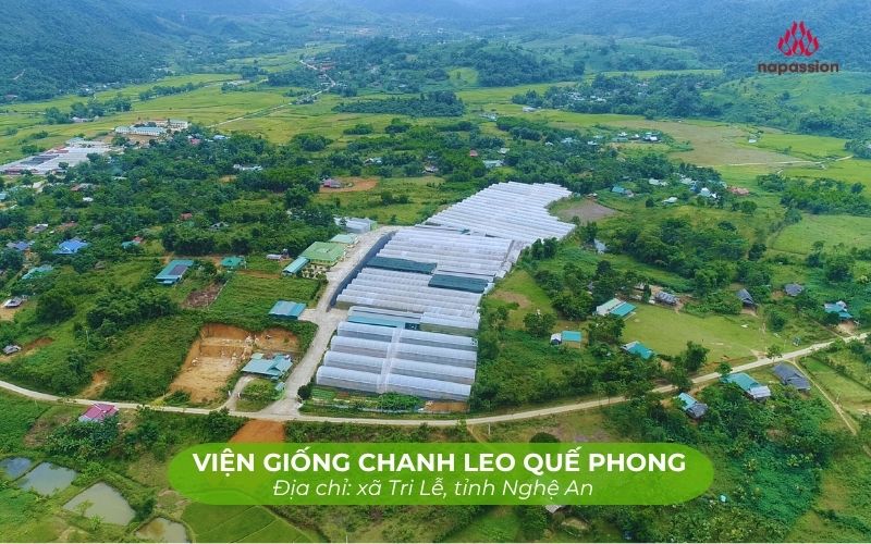 Tổ hợp viên nghiên cứu vườn ươm cây giống chanh leo nafoods
