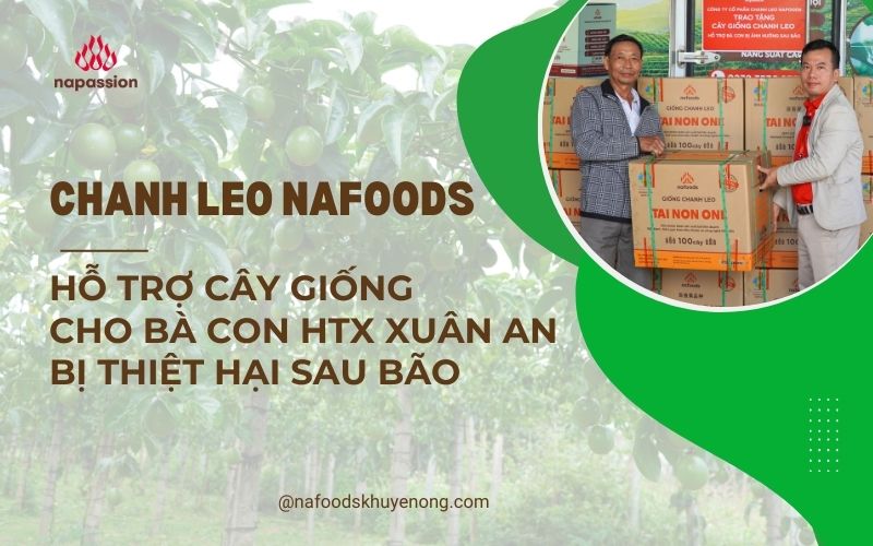 nafoods hỗ trợ cây giống cho bà con bị thiệt hại sau bão